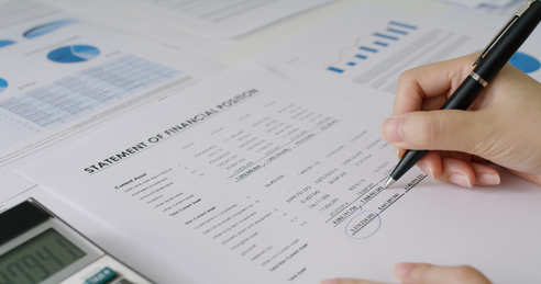 Audited Financial Statements for a Tax Group