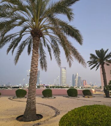 New FTA Update Could Unlock AED 25,000 in VAT Refund Savings
